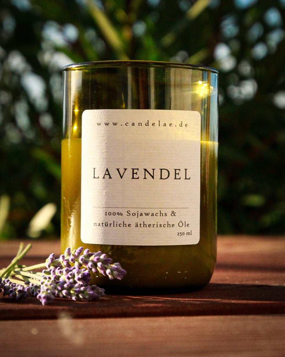 Duftkerze Lavendel von Candelae aus Sojawachs für entspannende Atmosphäre und Stressabbau