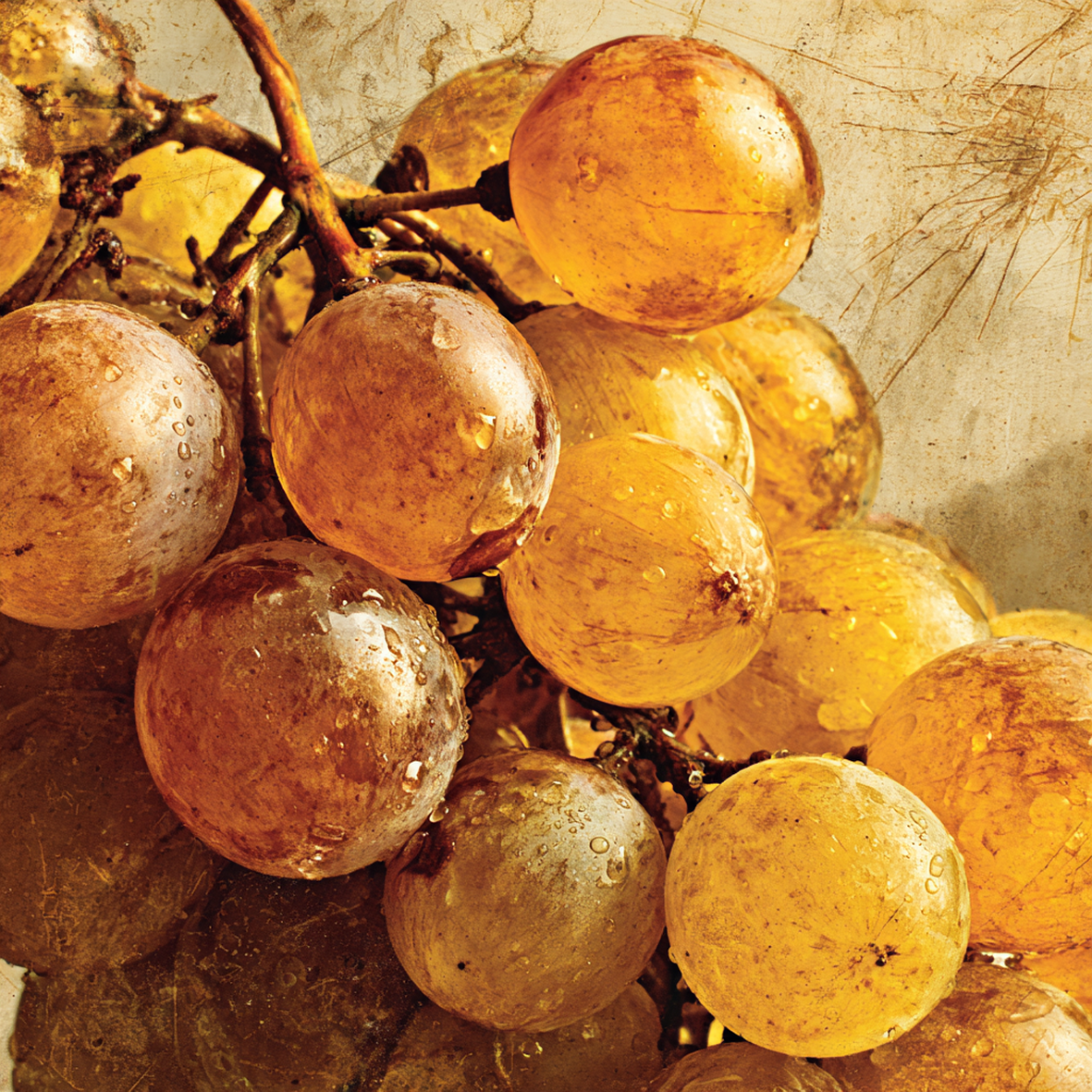 Vermentino – zweite Ansicht der Travertin Deko mit weinmotiv