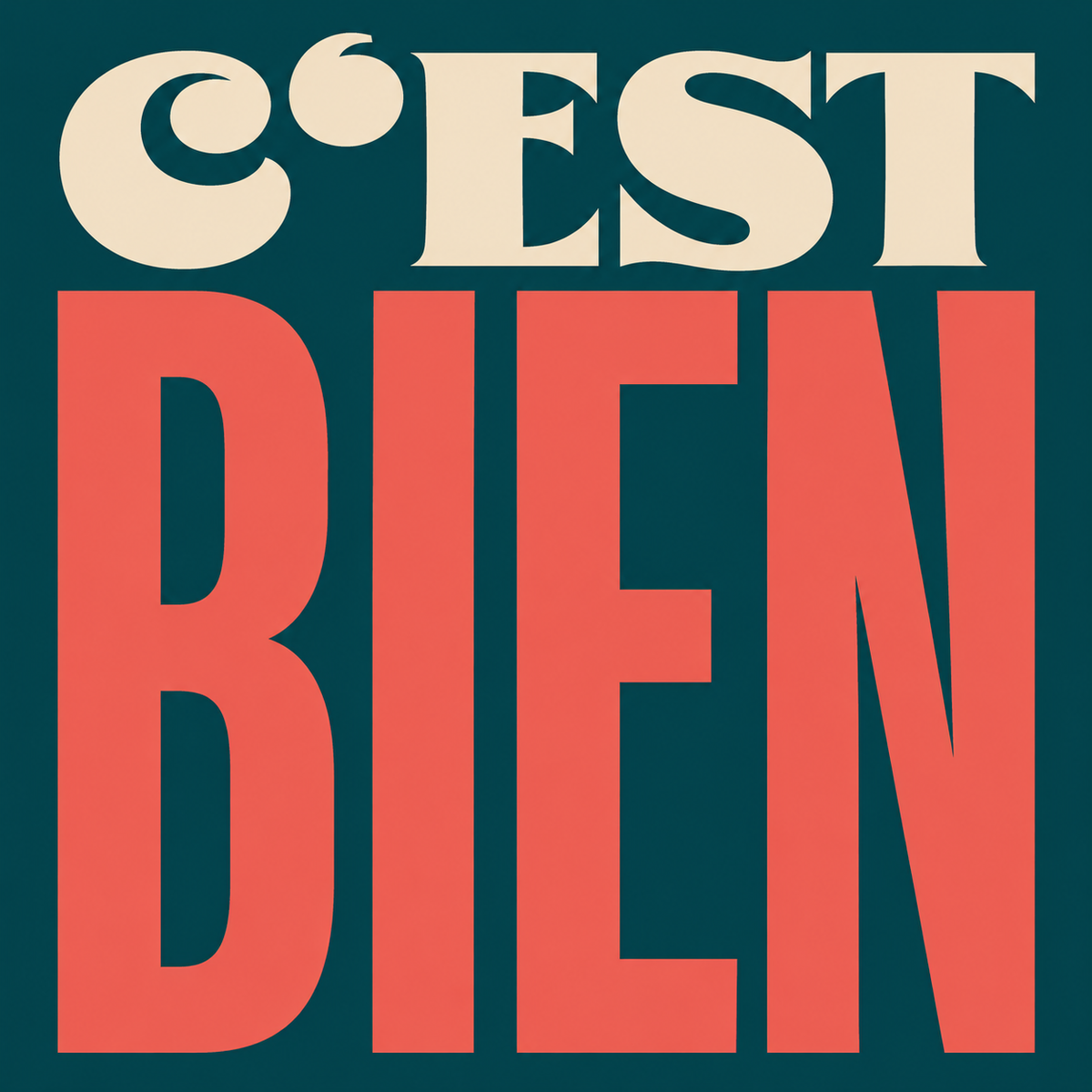 C'EST BIEN – Typografie-Kunstwerk auf Travertin, Druckmotiv